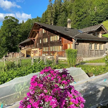 Schoenenmatte By Interhome * Zweisimmen