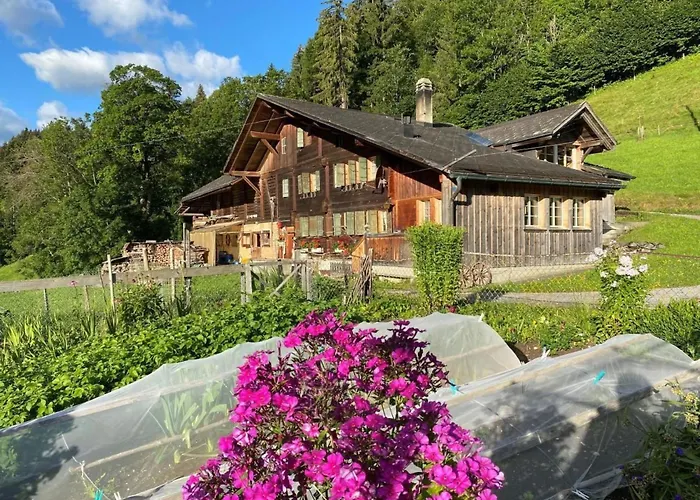 Schoenenmatte By Interhome * Zweisimmen