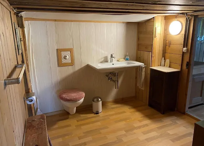 Schoenenmatte By Interhome Feriehus Zweisimmen